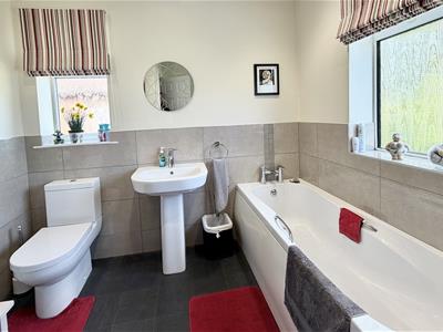 Picture 12